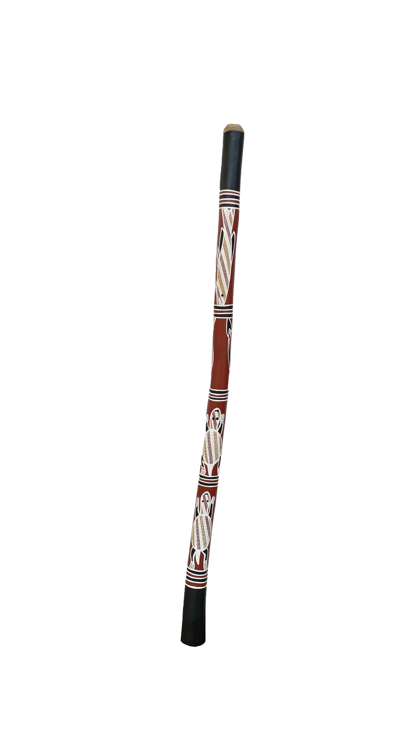 Didgeridoo | D-012