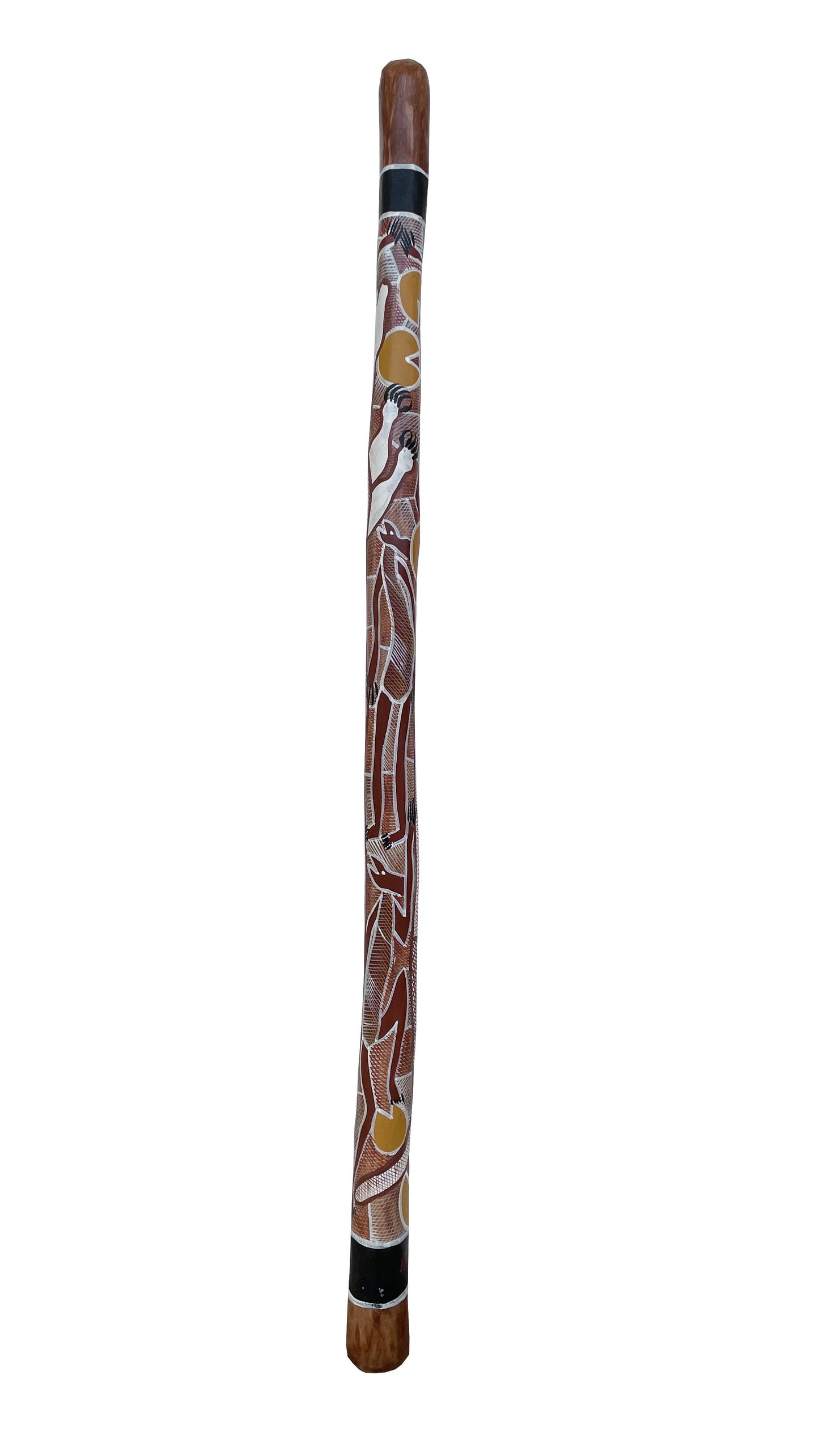 Didgeridoo | D-014