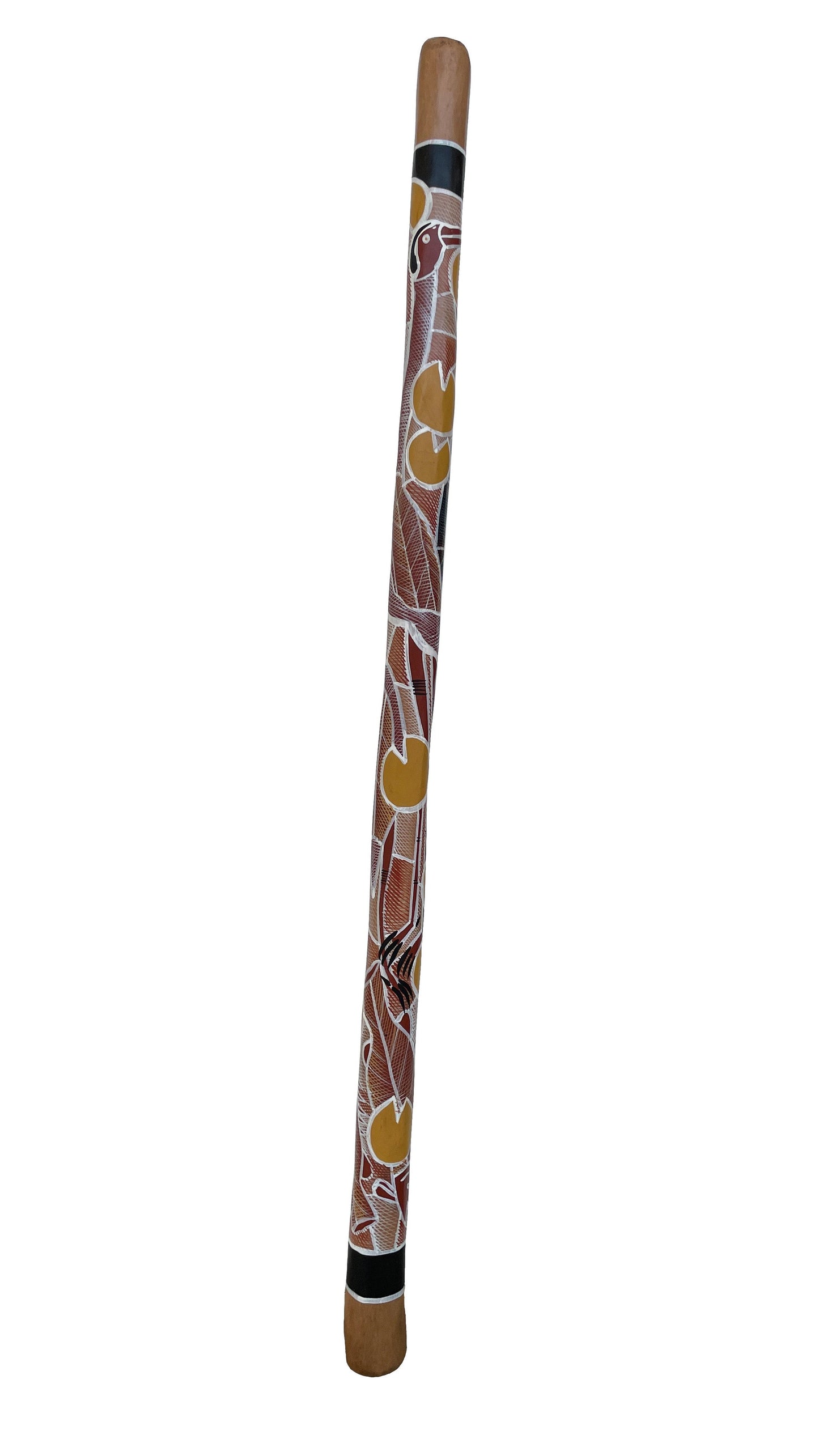 Didgeridoo | D-015