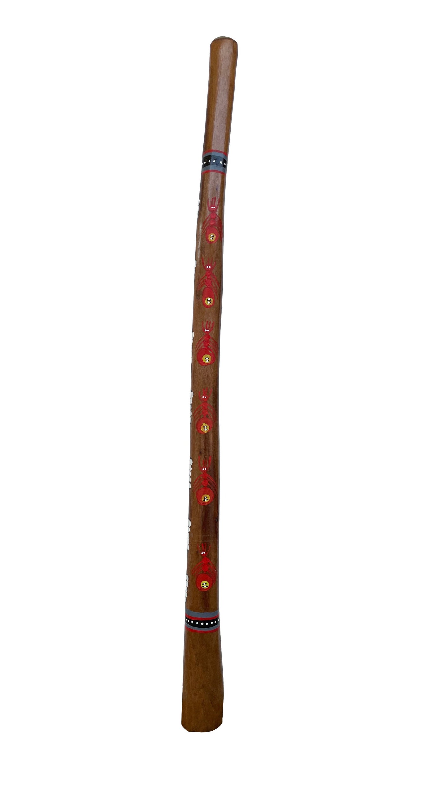 Didgeridoo | D-023