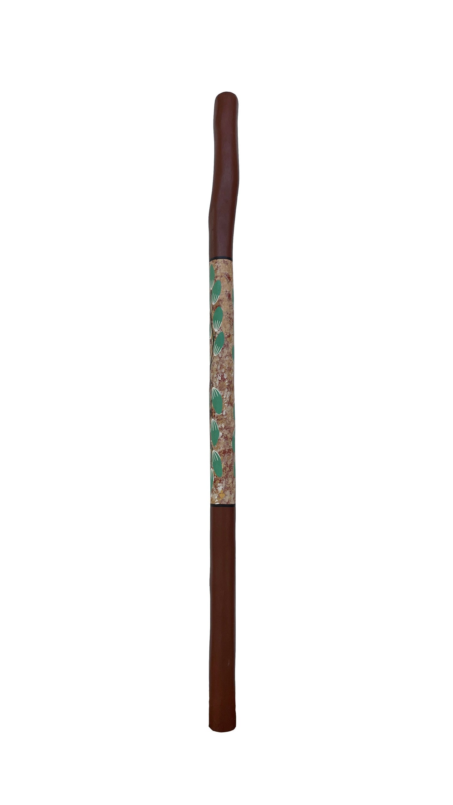 Didgeridoo | D-025