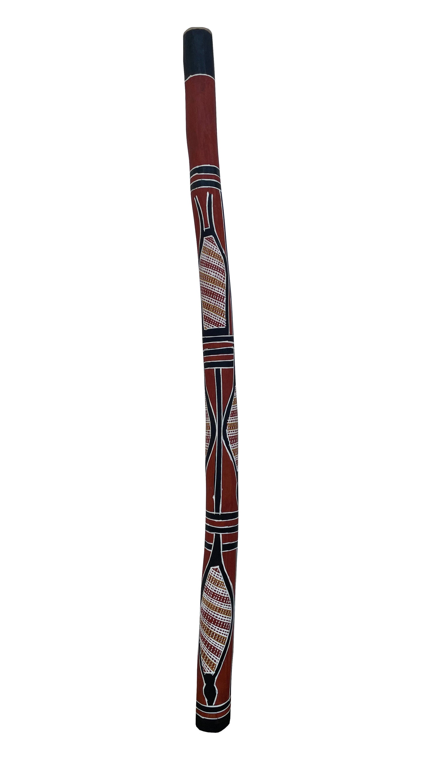 Didgeridoo | D-028