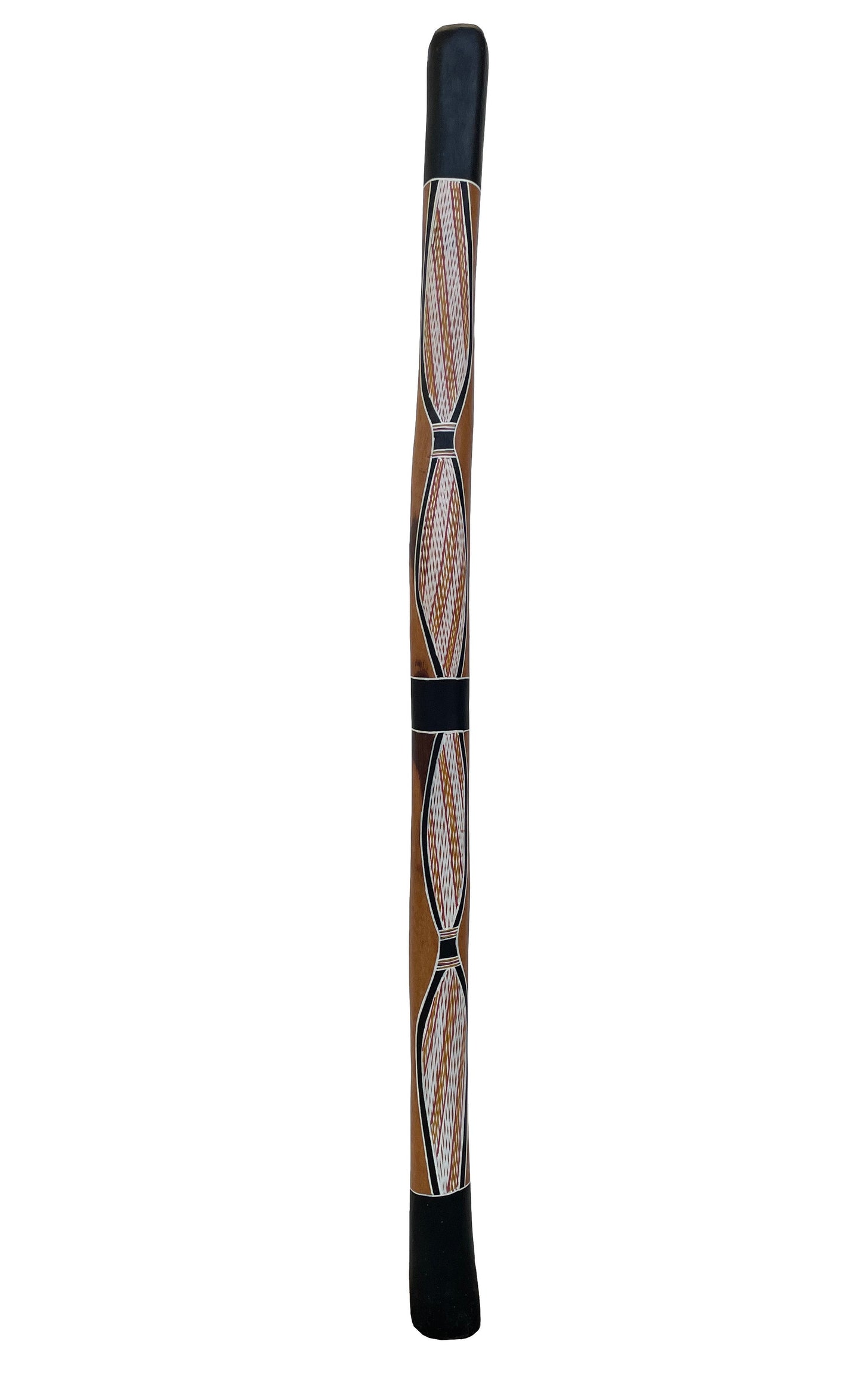 Didgeridoo | D-029