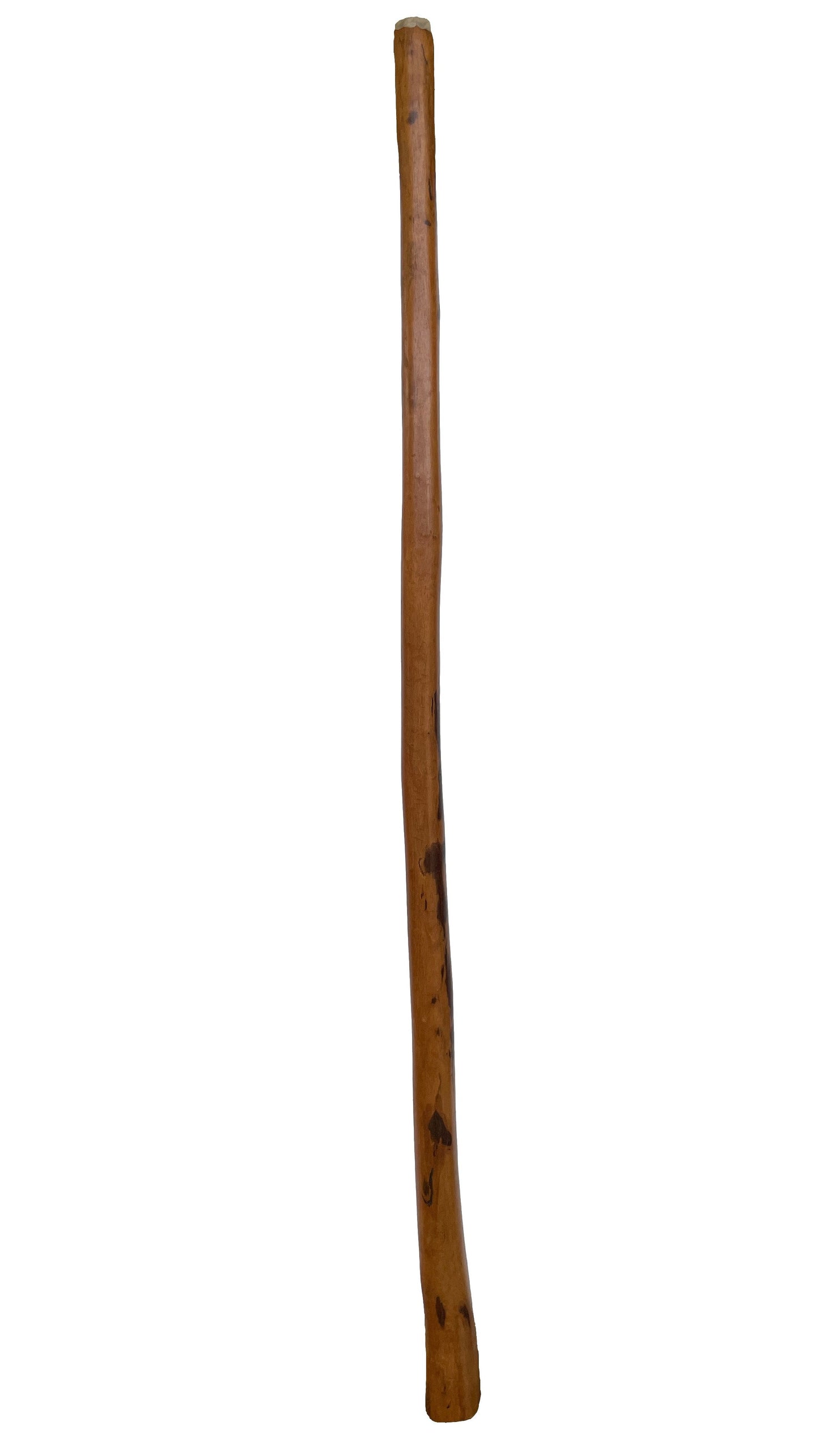 Didgeridoo | D-033