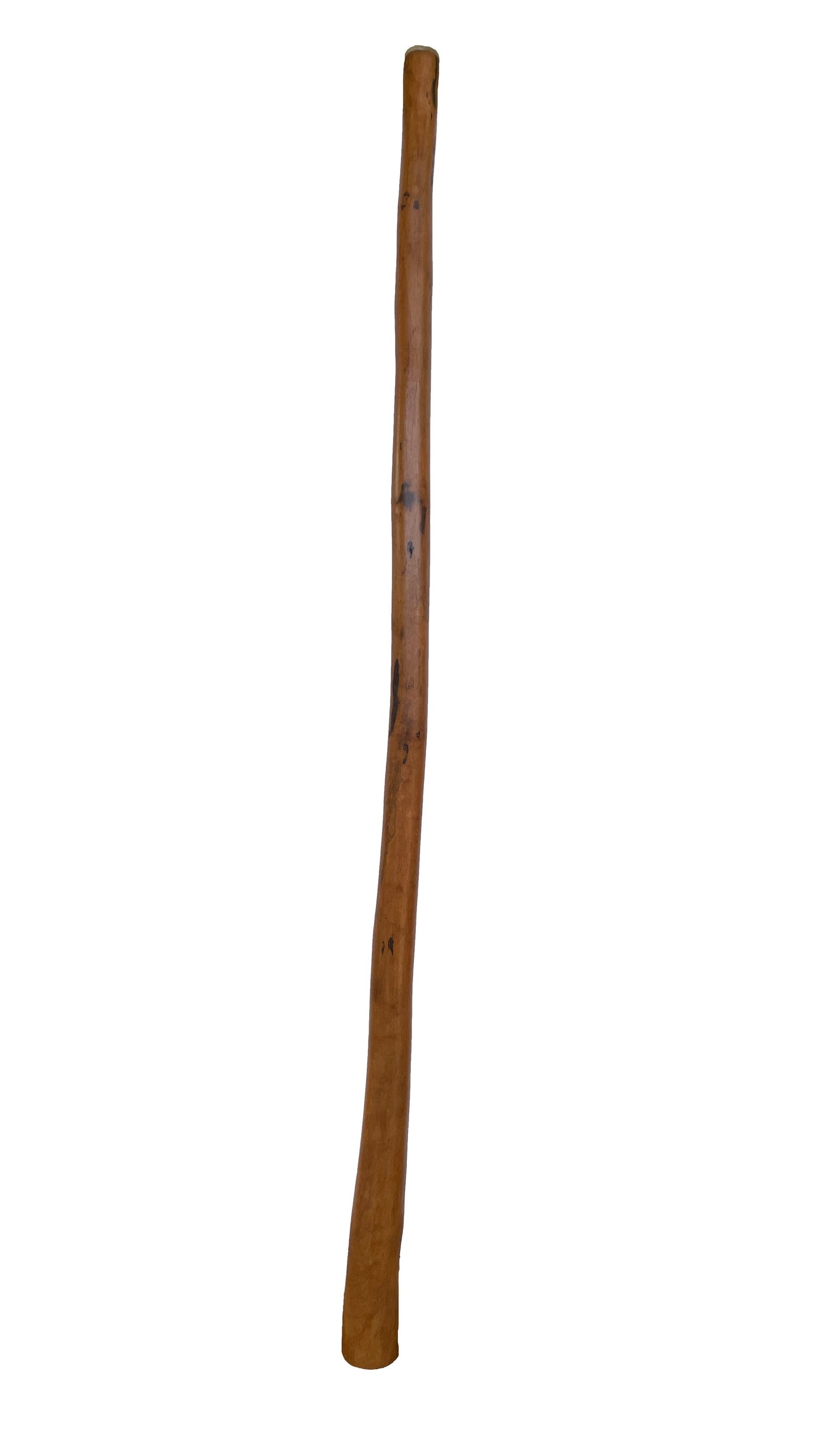 Didgeridoo | D-033