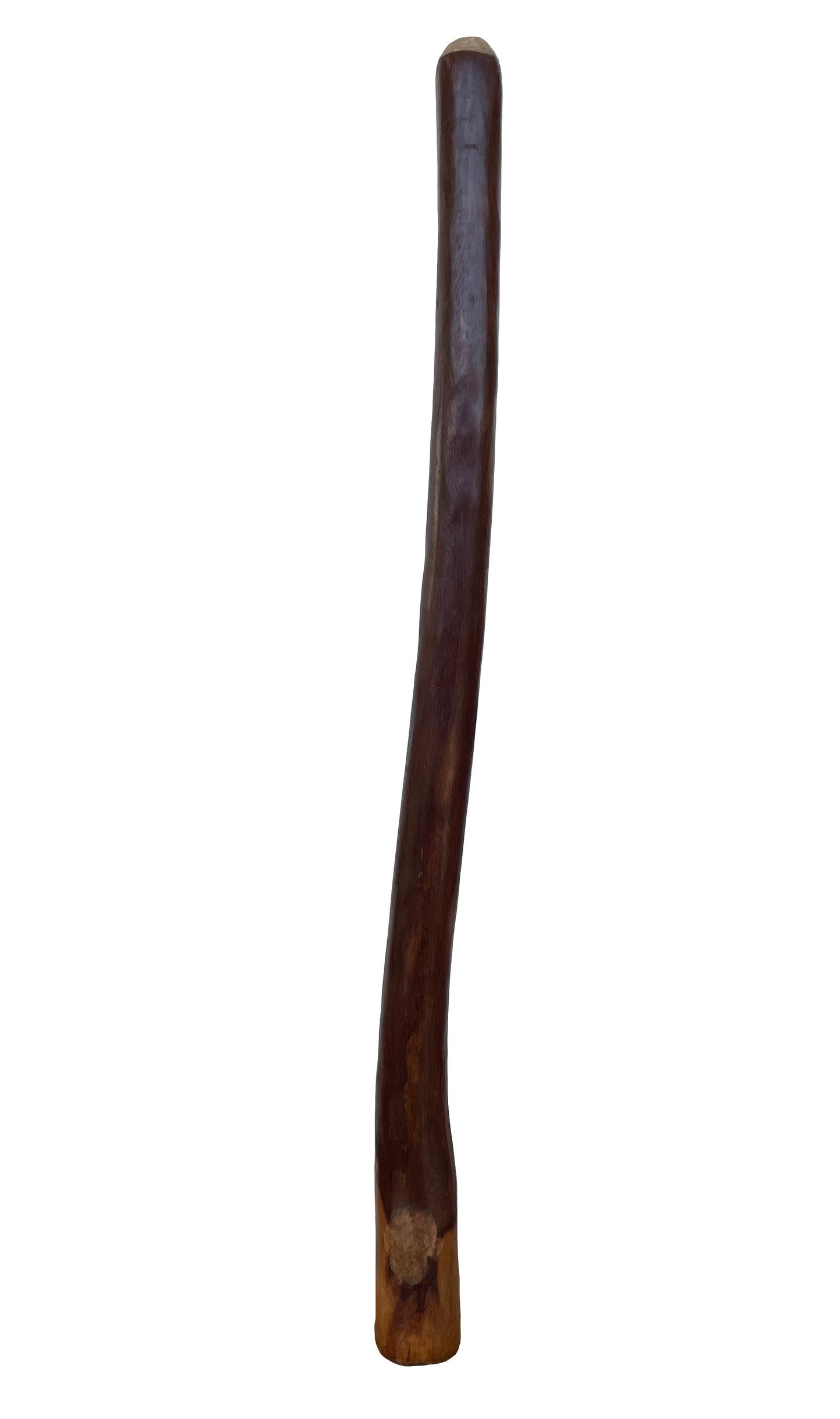 Didgeridoo | D-036