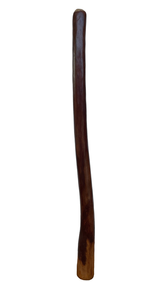 Didgeridoo | D-036