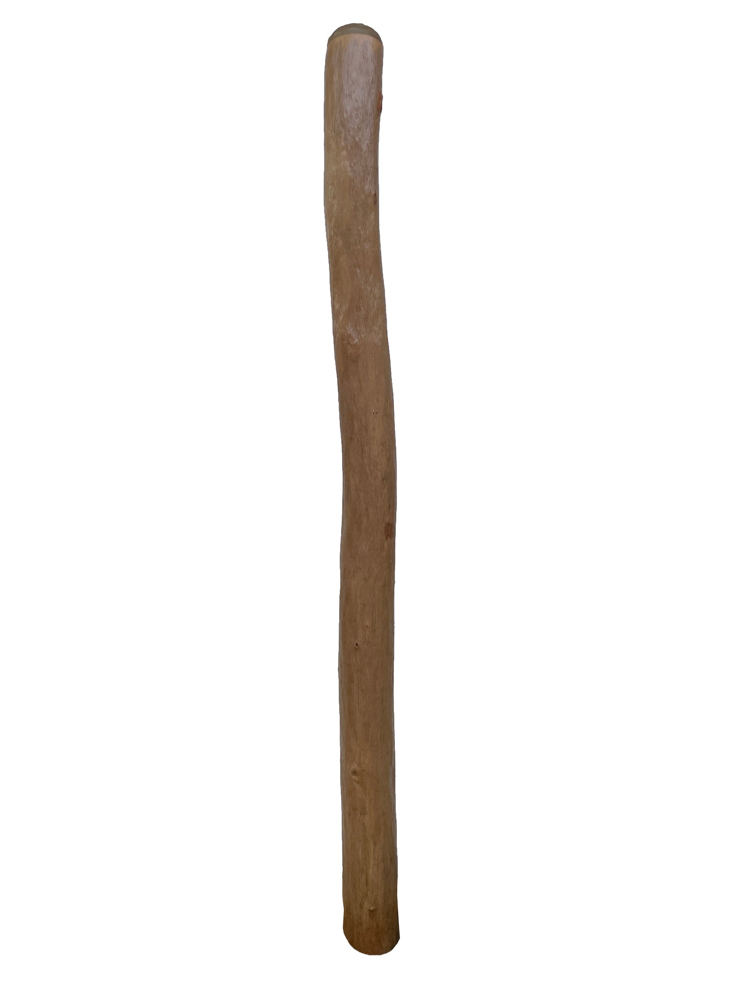 Didgeridoo | D-037