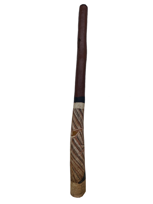 Didgeridoo | D-039