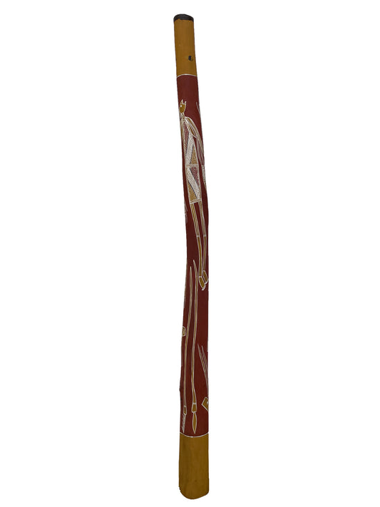 Didgeridoo | D-040