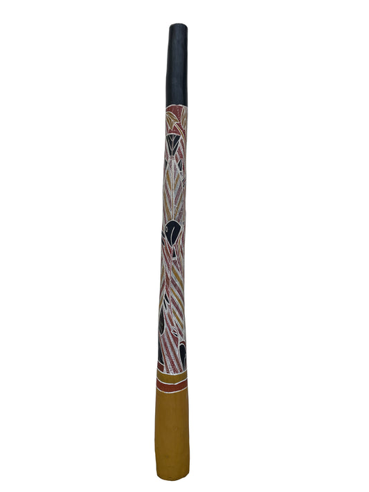 Didgeridoo | D-043