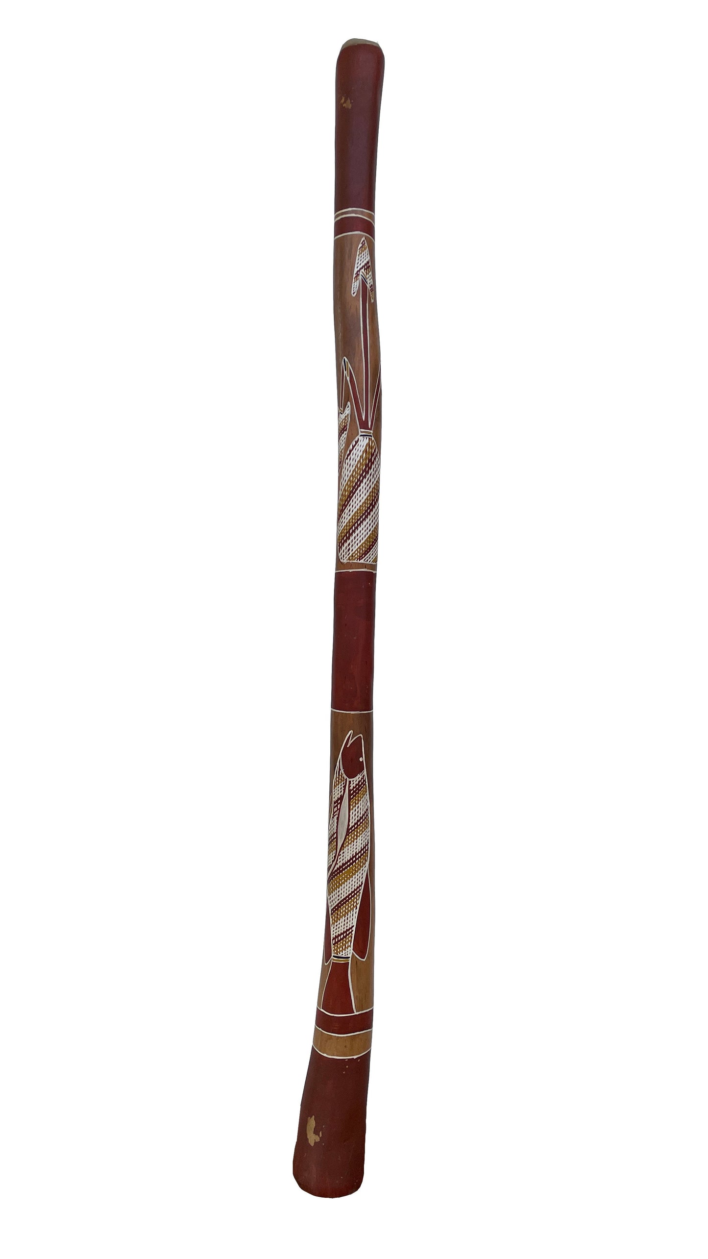 Didgeridoo | D-061