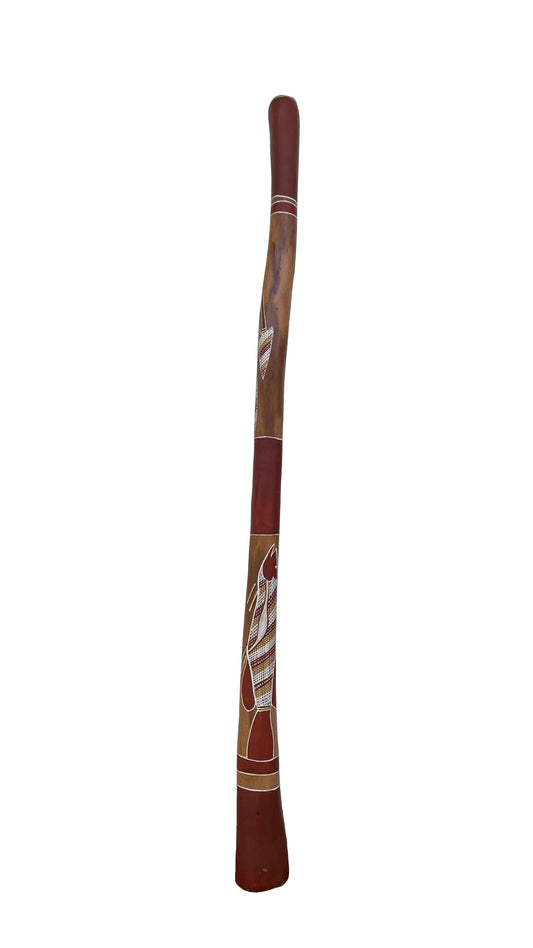 Didgeridoo | D-061