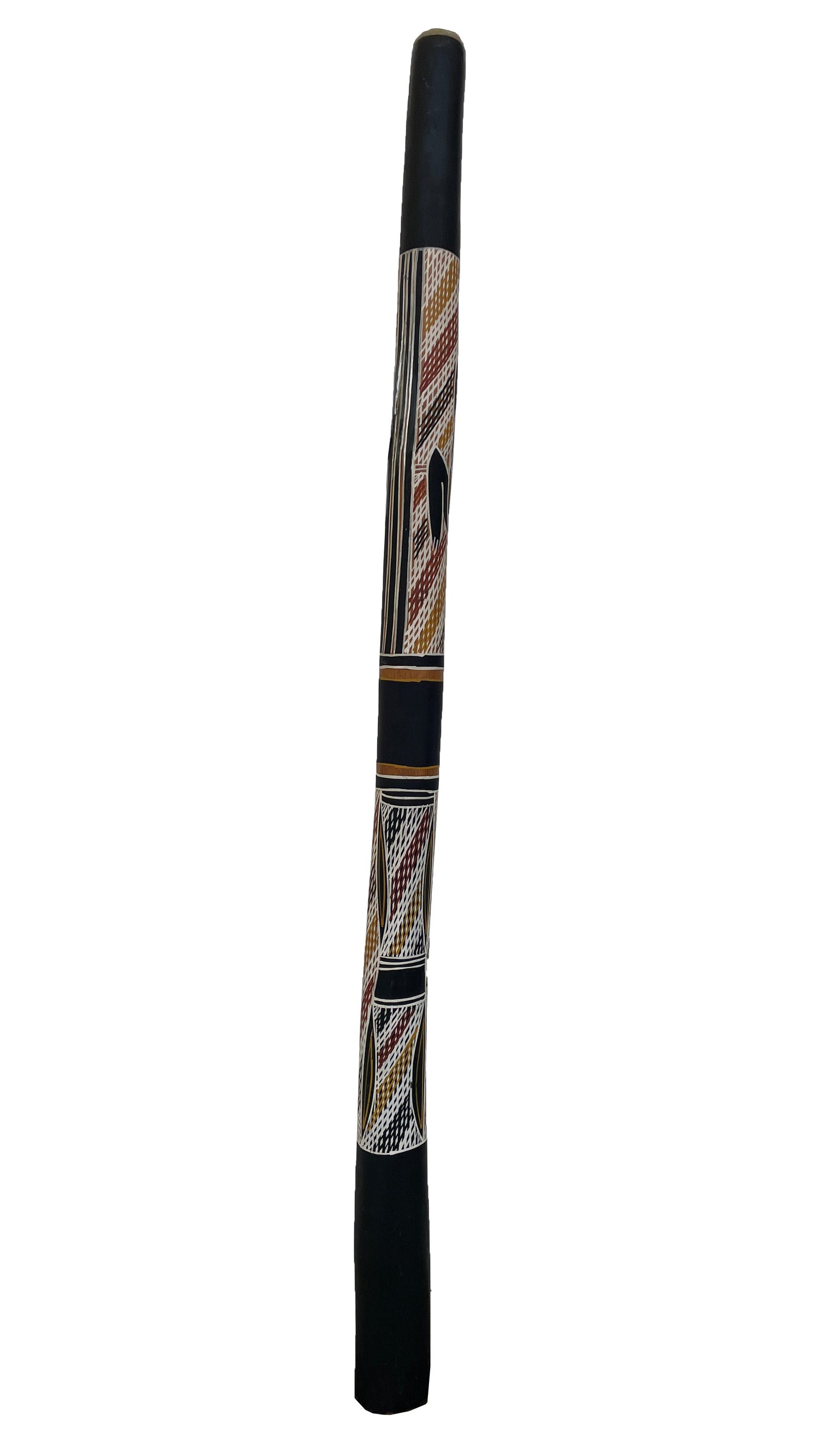 Didgeridoo | D-066