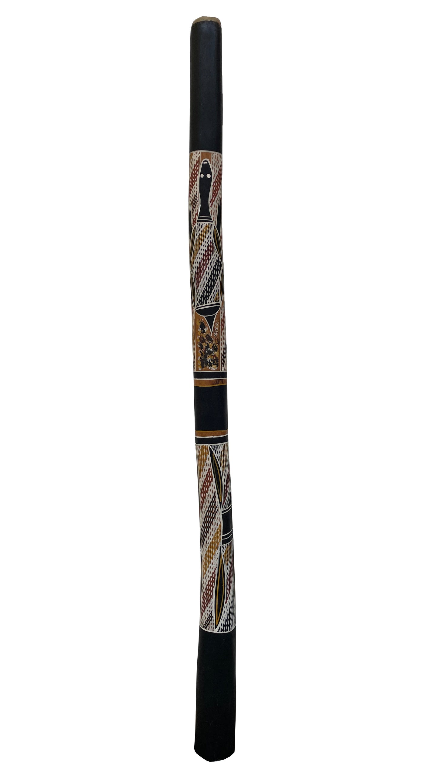 Didgeridoo | D-066