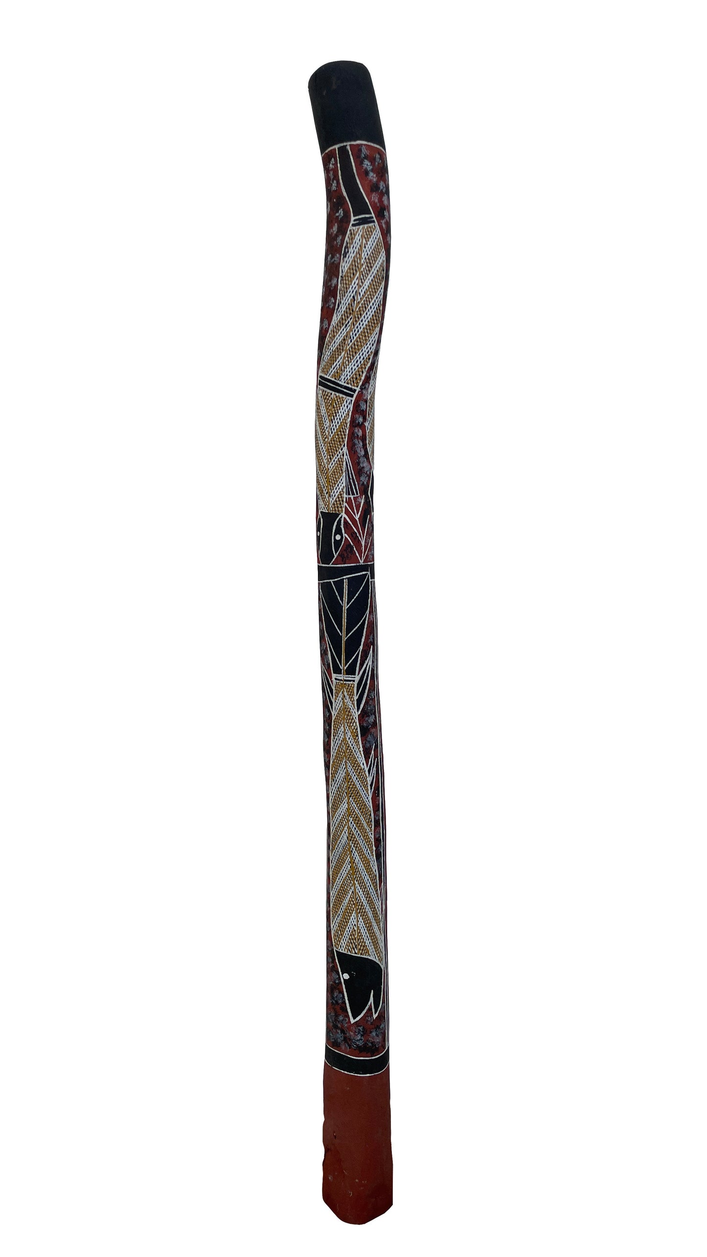 Didgeridoo | D-067