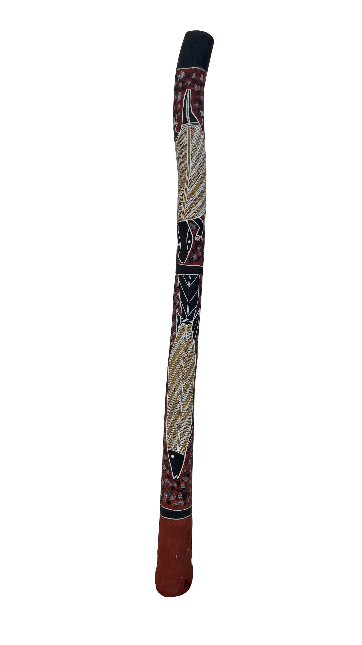 Didgeridoo | D-067