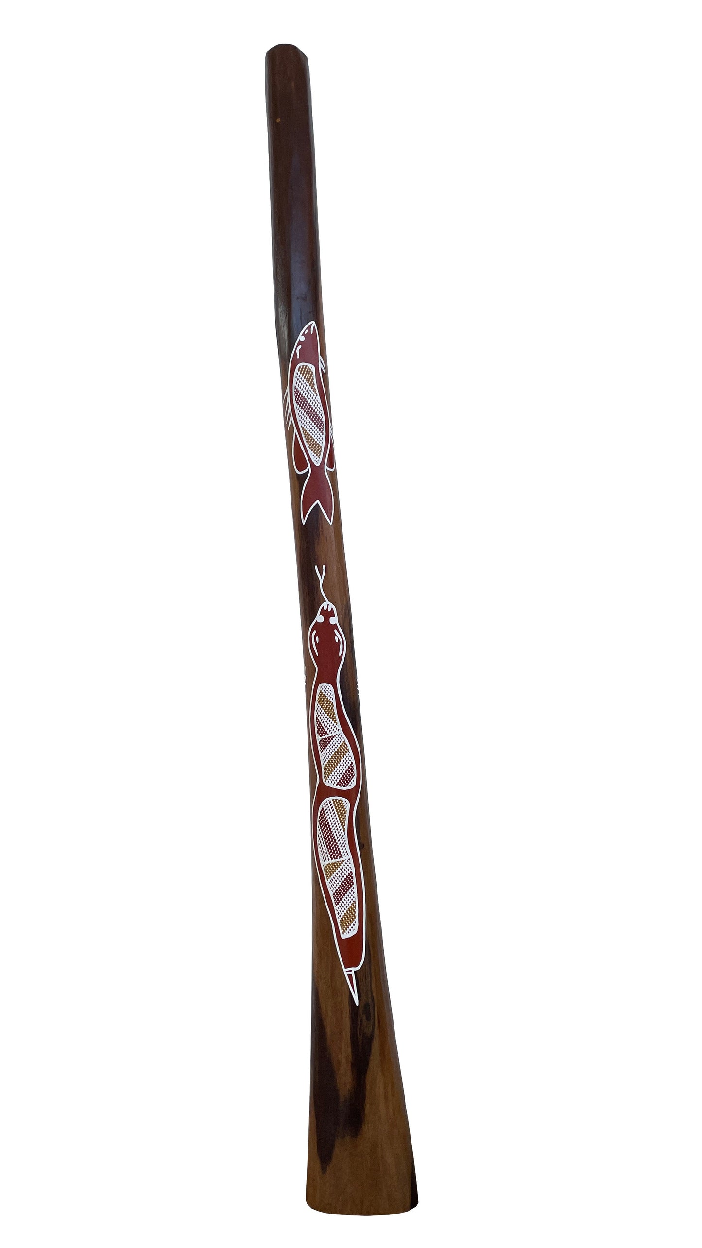 Didgeridoo | D-068