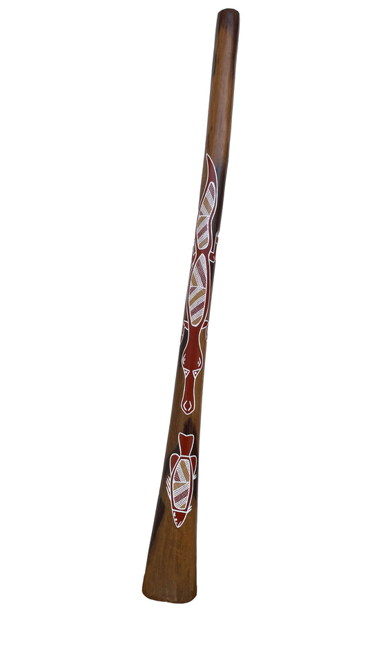 Didgeridoo | D-068