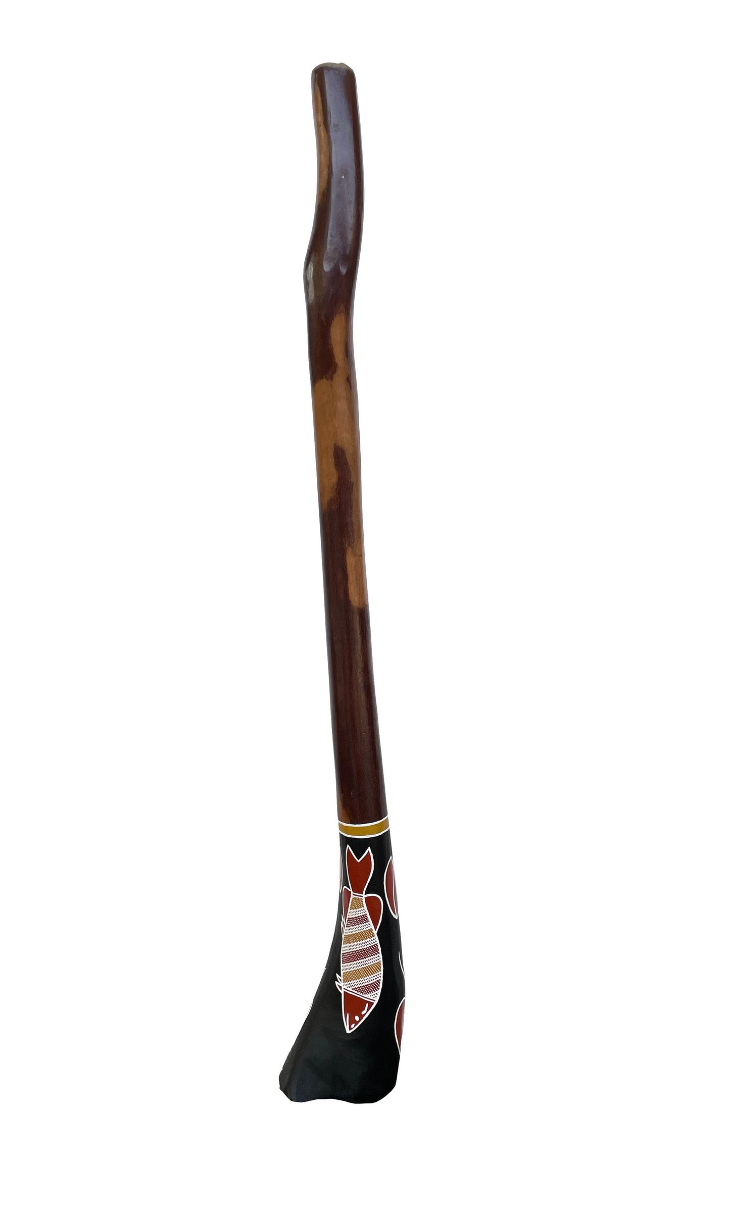 Didgeridoo | D-070