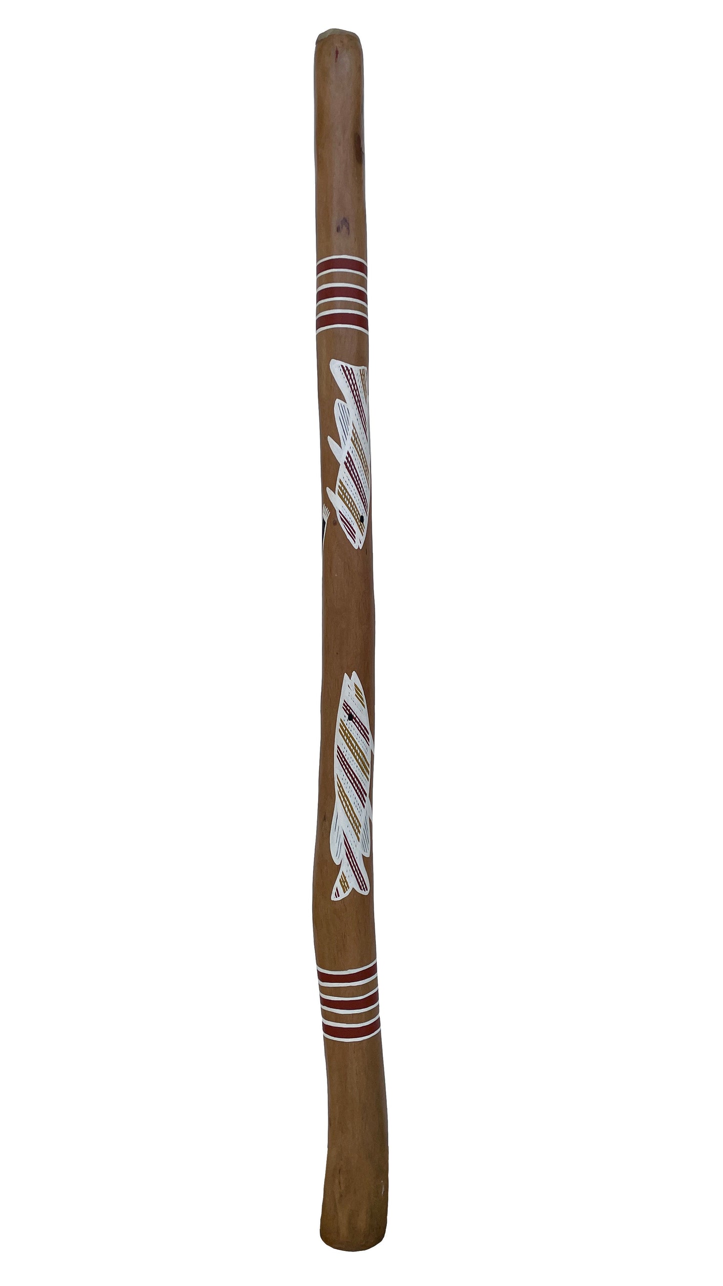 Didgeridoo | D-073