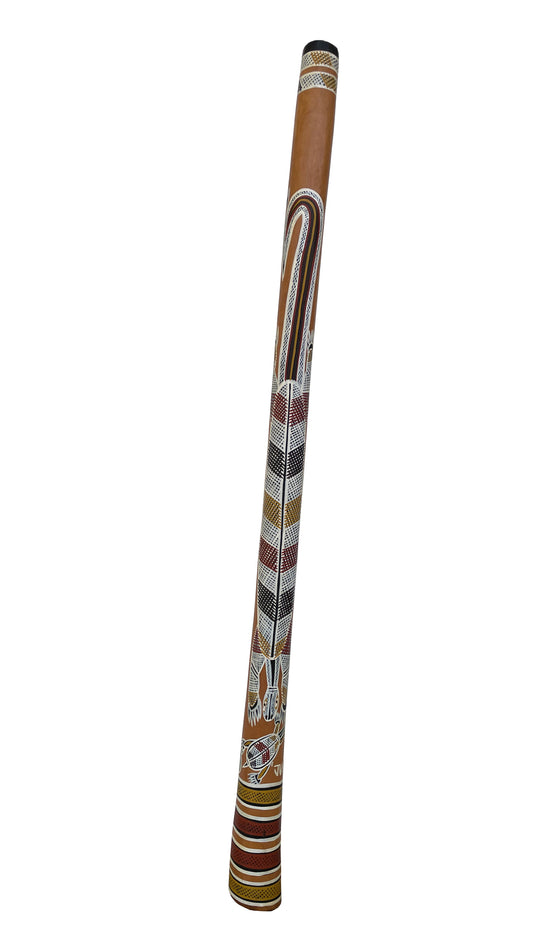 Didgeridoo | D-077