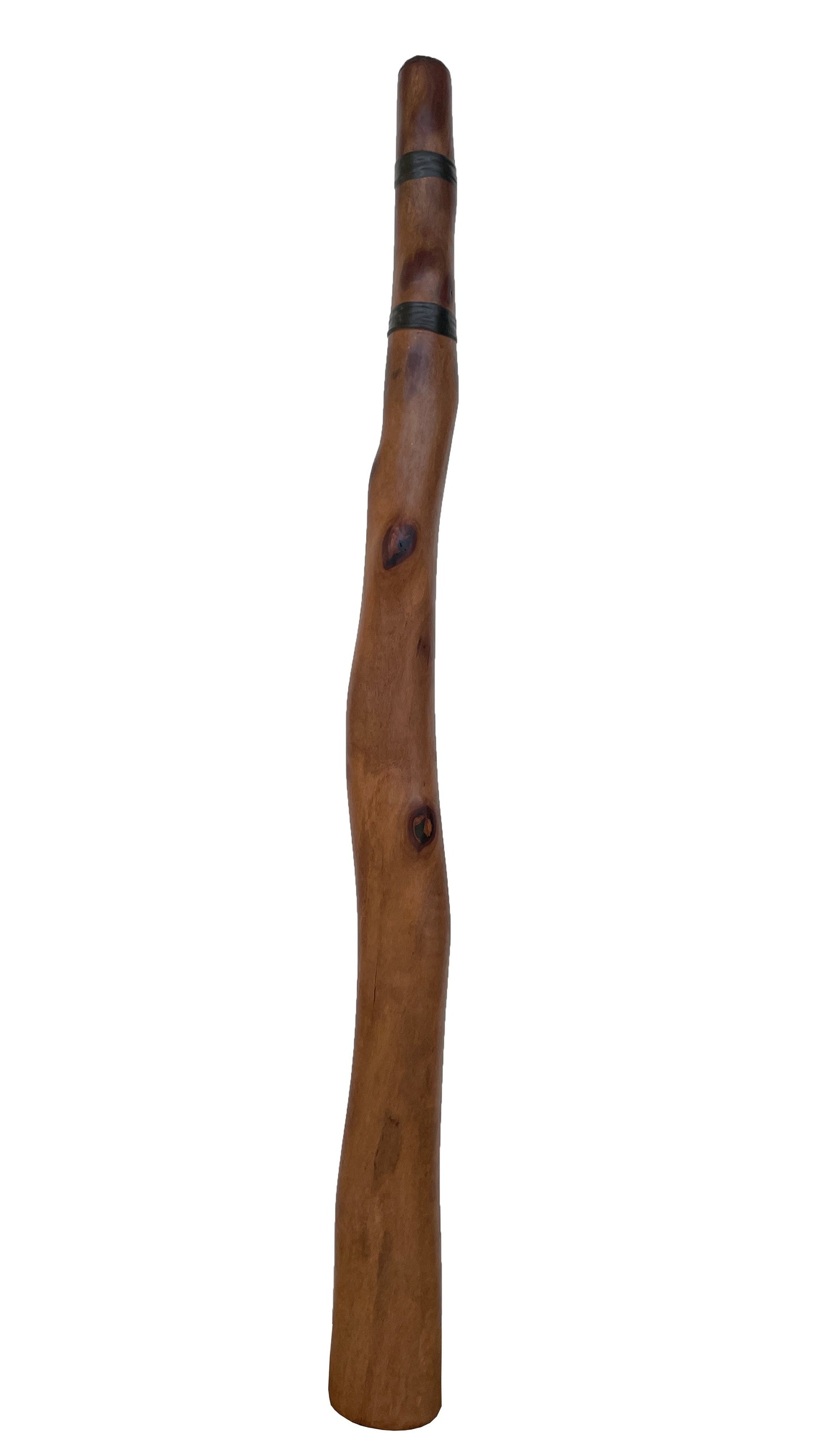 Didgeridoo | D-079